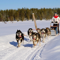 Adventure and sport camp school (winter time)