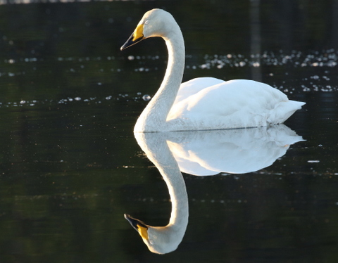 Nature photography (all year round)