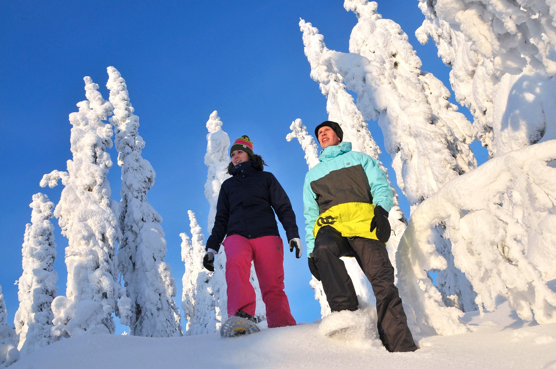 Snow Shoeing and Wildlife Watching